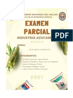 Industria Azucarera - Ex. Parcial