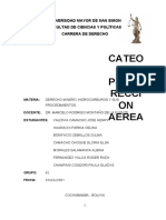 Cateo y Prospeccion Aerea Final