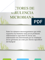 Factores de Virulencia