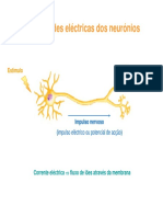 Propriedades Eléctricas Dos Neurónios