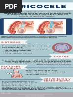 Cómo Llevar Un Estilo de Vida Saludable Infografía