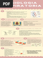 Fisiologia Respiratoria