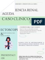 Insuficiencia Renal 