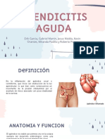 APENDICITIS AGUDA-expo