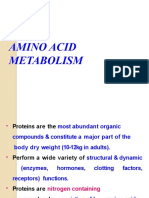 Protein Metabolism Biochemistry