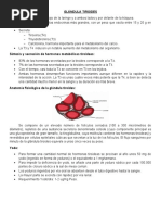 Tiroides y Paratiroides-2