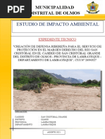 Impacto Ambiental FF