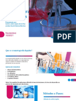 PDF Documento