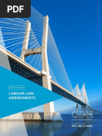 Employment Labour Law Amendments Guide