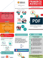 Triptico-PA-SoporteVB Y RCP