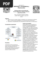 Reporte 5. Fenolftaleína y Fluoresceína