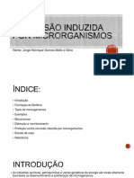 Corrosão Induzida Por Microrganismos