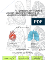 Aerosolterapia Con VM