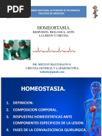 HOMEOSTASIA - Version - 2013