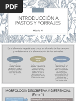 Introducción A Pastos y Forrajes