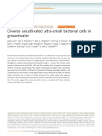 Diverse Uncultivated Ultra-Small Bacterial Cells in Groundwater