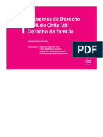 Esquemas de Derecho Civil de Chile VII - Nodrm