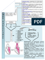 Mapa Conceptual de Sindromes Valvular