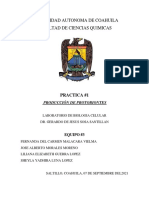 Practica#1 Produccion de Protobiontes - Biologia.equipo#3