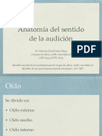 Anatomia Oido