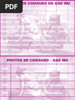 Pontos de Comando Ou Gao Wu