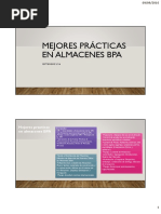 BPA Buenas Practicas en Almacenes v2