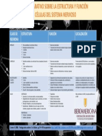 Actividad 2 Cuadro Comparativo de Neuronas