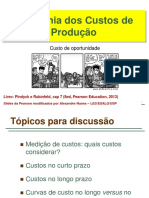 Aula 6 - Economia Dos Custos de Produção