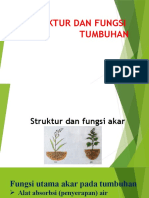 Struktur Dan Fungsi Tumbuhan