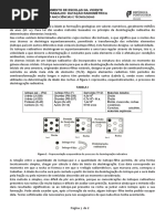 Ficha de Trabalho - Datação Radiométrica