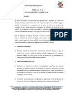 Formato #24 Informe de Impacto Ambiental