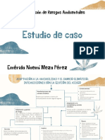 Adaptación A La Variabilidad y El Cambio Climático Intersecciones Con La Gestión Del Riesgo