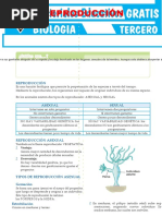 La Reproducción para Tercer Grado de Secundaria