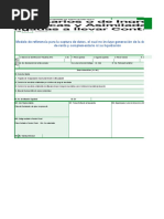 Modelo Reporte de Conciliación Fiscal Anexo Formulario 210 - Formato 2517