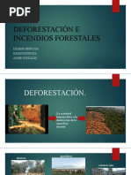 Deforestación e Incendios Forestales