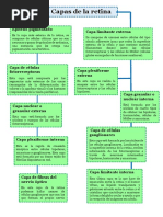 Capas y Celulas de La Retina