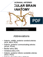 Intracranial Arteries