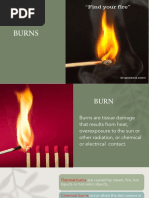 PPP-BURNS 118sl