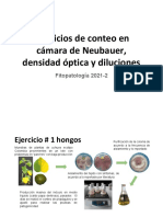 Ejerciciosfitopaologia 1