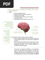 Tres Unidades Atencionales de Luria. - Primera Unidad