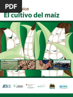 Manual Del Cultivo de Maiz IICCA