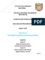 Práctica 3. Taxonomía e Identificación de Bacterias