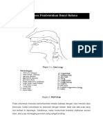 Materi 4 Pembentukan Bunyi