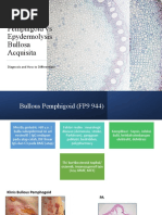 Bullous Pemphigoid Vs Epydermolysis Bullosa Acquisita: Diagnosis and How To Differentiate