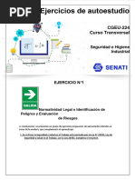 Ejercicio - Seguridad e Higiene Industrial