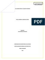 Caso Práctico Alta Dirección RH U1