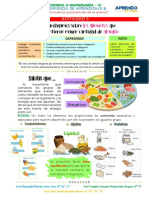 AA N°5 Indagamos Sobre Los Alimentos Que Tienen Mayor Cantidad de Almidón