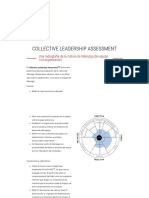 Leadership Culture Survey - The Leadership Circle Iberia