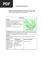 Práctica 4 Y5