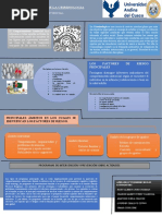 Infografia Tentativo